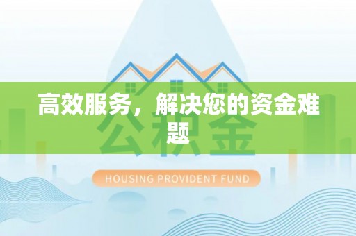 临邑高效服务，解决您的资金难题