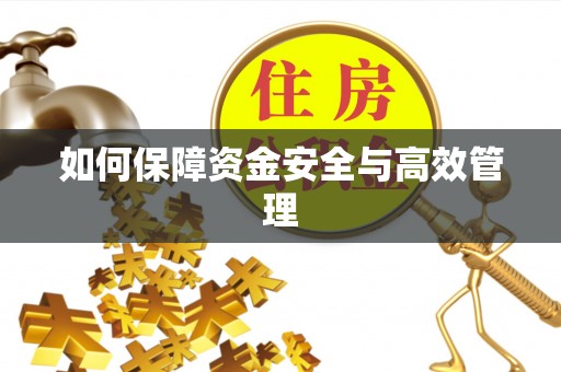 临邑如何保障资金安全与高效管理