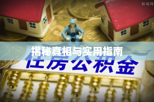 临邑揭秘真相与实用指南