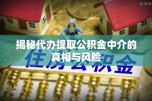 临邑揭秘代办提取公积金中介的真相与风险