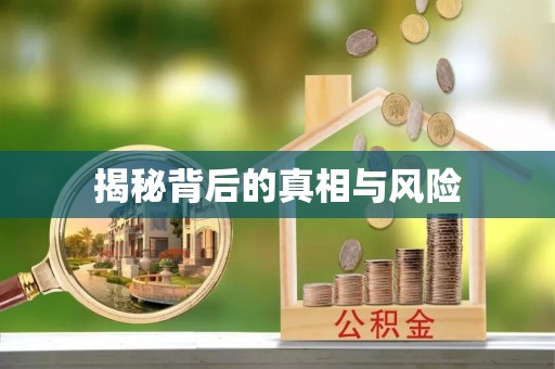 临邑揭秘背后的真相与风险