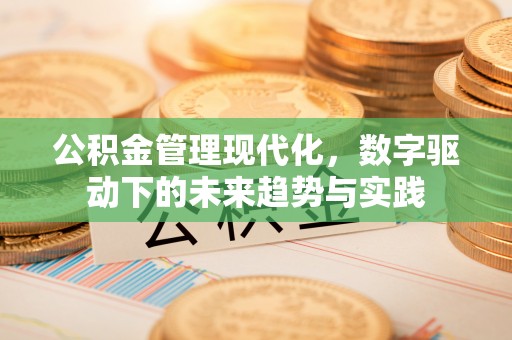 临邑公积金管理现代化，数字驱动下的未来趋势与实践