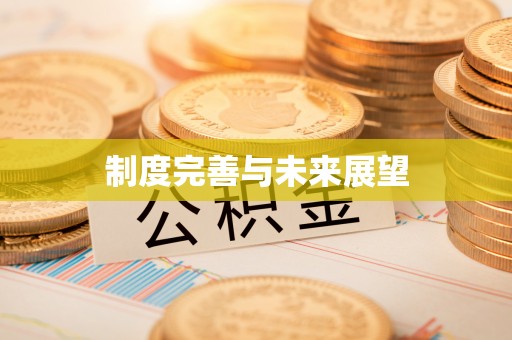 临邑制度完善与未来展望