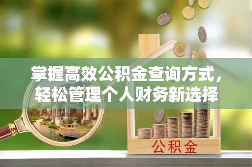 临邑掌握高效公积金查询方式，轻松管理个人财务新选择