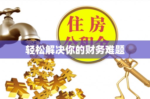 临邑轻松解决你的财务难题