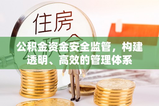 临邑公积金资金安全监管，构建透明、高效的管理体系