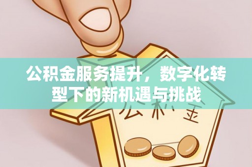 临邑公积金服务提升，数字化转型下的新机遇与挑战