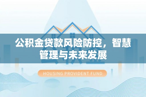 临邑公积金贷款风险防控，智慧管理与未来发展