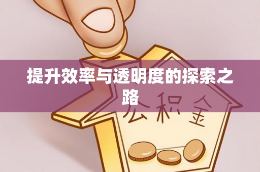 临邑提升效率与透明度的探索之路
