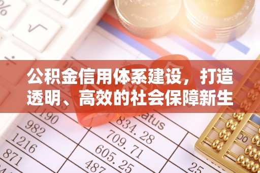 临邑公积金信用体系建设，打造透明、高效的社会保障新生态