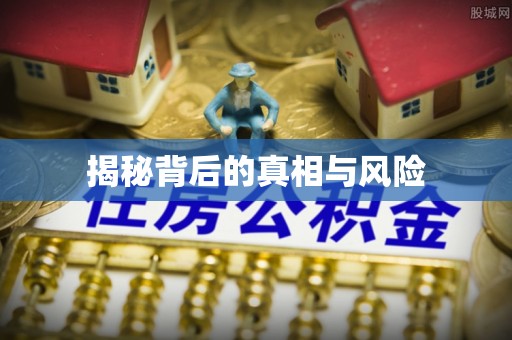 临邑揭秘背后的真相与风险