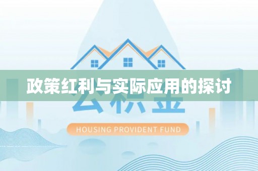 临邑政策红利与实际应用的探讨