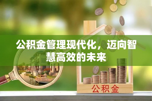 临邑公积金管理现代化，迈向智慧高效的未来