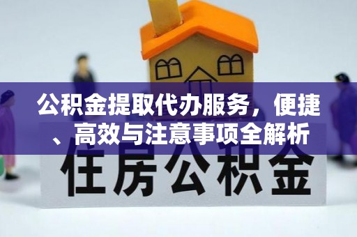 临邑公积金提取代办服务，便捷、高效与注意事项全解析