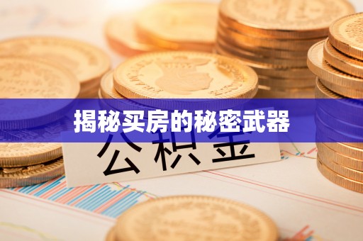 临邑揭秘买房的秘密武器