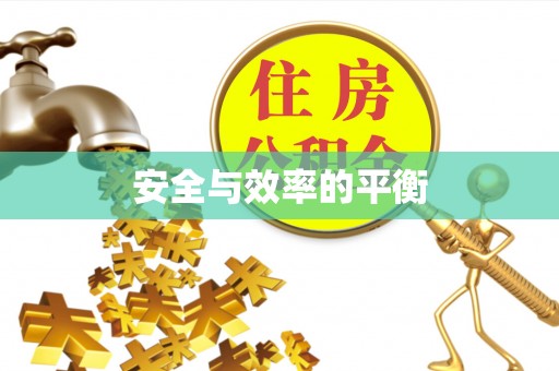 临邑安全与效率的平衡