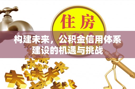 临邑构建未来，公积金信用体系建设的机遇与挑战