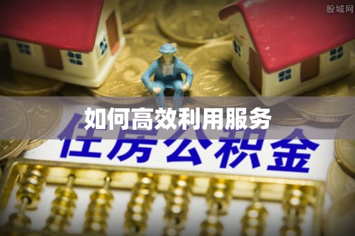 临邑如何高效利用服务