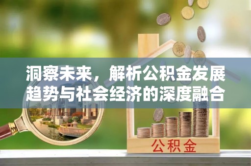 临邑洞察未来，解析公积金发展趋势与社会经济的深度融合