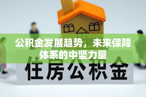 临邑公积金发展趋势，未来保障体系的中坚力量