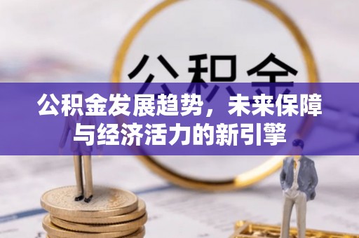 临邑公积金发展趋势，未来保障与经济活力的新引擎
