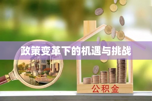 临邑政策变革下的机遇与挑战