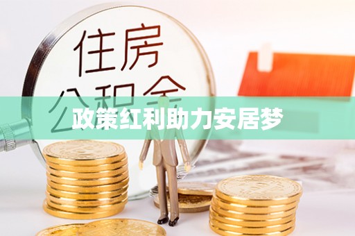 临邑政策红利助力安居梦