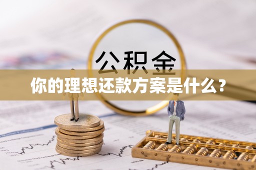 临邑你的理想还款方案是什么？