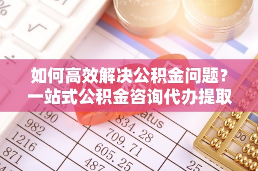 临邑如何高效解决公积金问题？一站式公积金咨询代办提取服务全解析