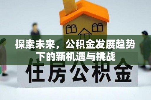 临邑探索未来，公积金发展趋势下的新机遇与挑战