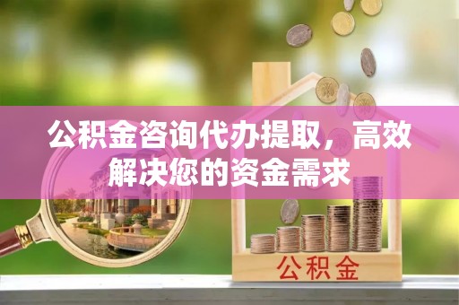 临邑公积金咨询代办提取，高效解决您的资金需求