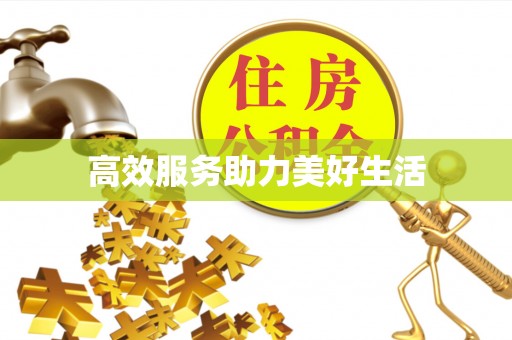 临邑高效服务助力美好生活