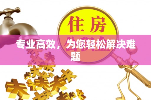 临邑专业高效，为您轻松解决难题