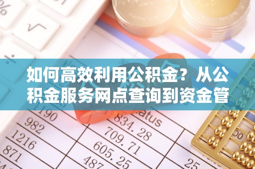 临邑如何高效利用公积金？从公积金服务网点查询到资金管理全攻略