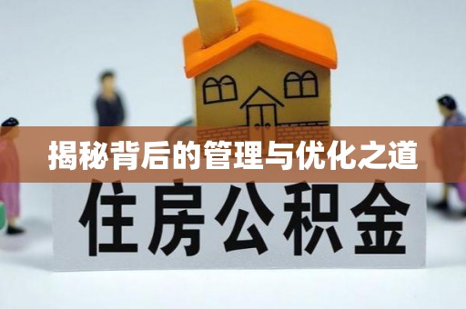 临邑揭秘背后的管理与优化之道