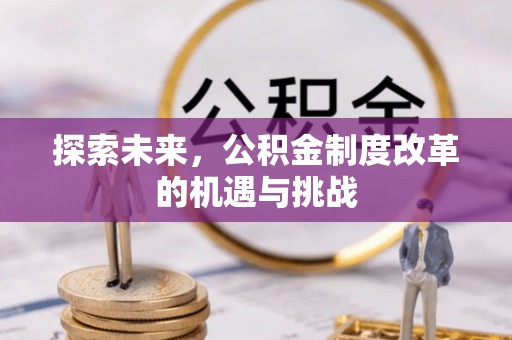 临邑探索未来，公积金制度改革的机遇与挑战