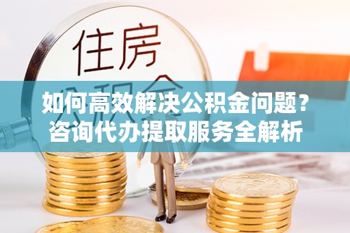 临邑如何高效解决公积金问题？咨询代办提取服务全解析
