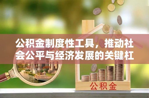 临邑公积金制度性工具，推动社会公平与经济发展的关键杠杆