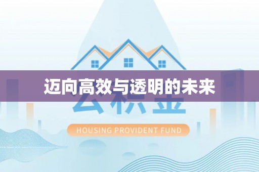 临邑迈向高效与透明的未来