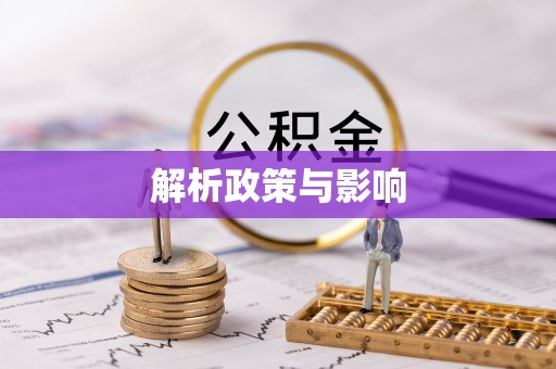 临邑解析政策与影响