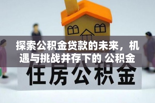 临邑探索公积金贷款的未来，机遇与挑战并存下的 公积金贷款风险防控