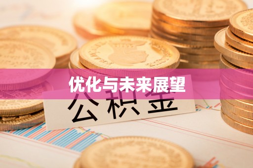 临邑优化与未来展望