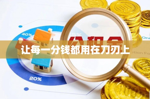 临邑让每一分钱都用在刀刃上