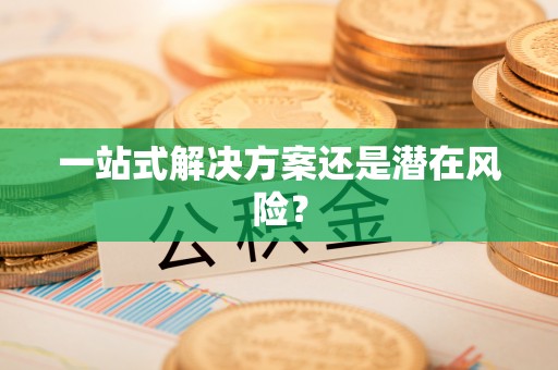 临邑一站式解决方案还是潜在风险？